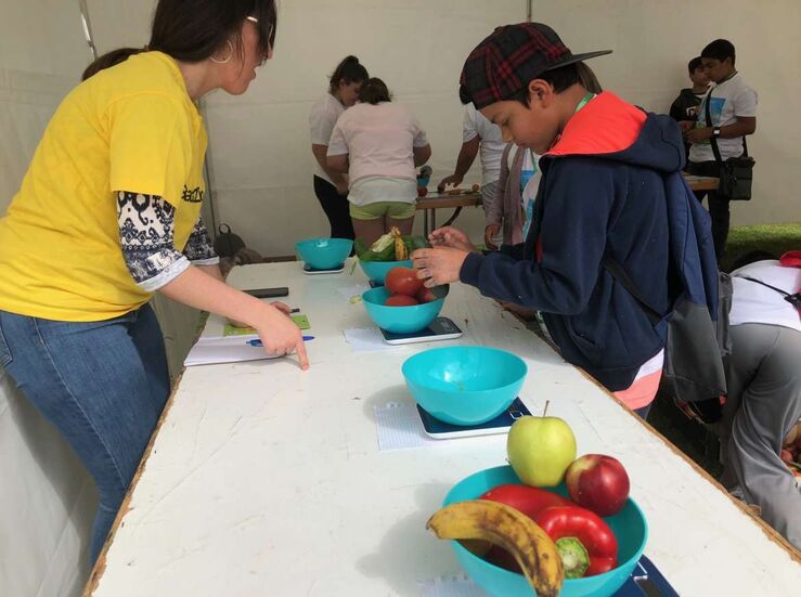 El programa de Junta de suministro frutas y hortalizas beneficiar a 70000 escolares
