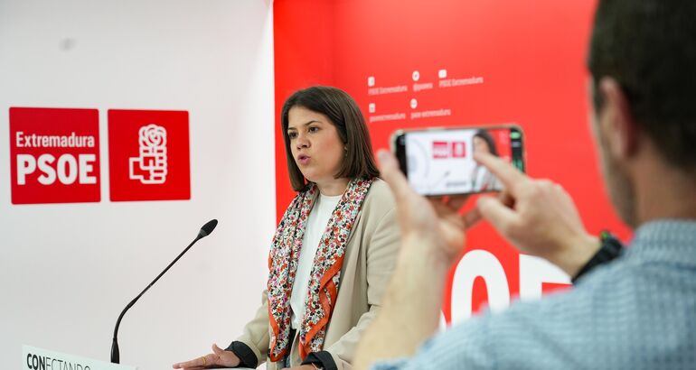 PSOE extremeño espera conocer la propuesta del PP reclamando AVE en 2030