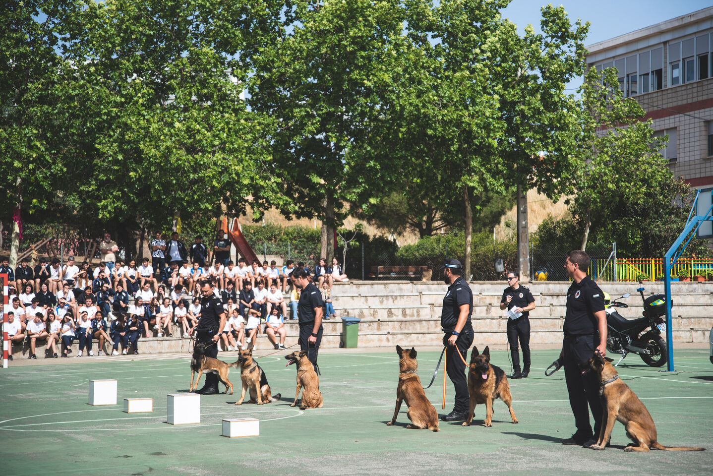 La Unidad Canina De La Polic A Local De M Rida Realiza Una Exhibici N