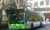 Ayuntamiento Cceres dispondr de autobuses al recinto hpico por concierto de Marea