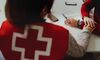 El Plan de Empleo de Cruz Roja en Extremadura beneficia a casi 1200 personas durante 2022