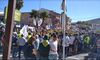 Mil personas reclaman en Villanueva de la Sierra un precio justo por sus aceitunas