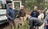Voluntarios extremeos y portugueses plantan 850 ejemplares de alcornoques en Sierra Fra