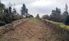 Amigos de Badajoz ve la limpieza en entorno del puente de Cantillana un paso importante