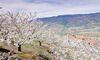 Extremadura da a conocer su patrimonio natural y cultural a prensa de Dinamarca y Blgica