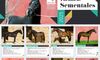 El Clnico Veterinario de UEx ofrece 11 caballos sementales de una calidad inigualable