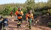 Infoex desbroza unas 2200 hectreas cada ao para la prevencin de incendios forestales