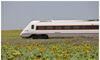 Los trenes de media distancia y Alvia en Extremadura continan suspendidos este martes