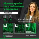 Webinar de la Junta para informar sobre las nuevas ayudas para empresas y autnomos