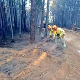 La Inspeccin da la razn a CCOO en aspectos como la disponibilidad bomberos del Infoex