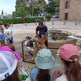 Alumnos participan en una Esquila didctica en el Museo Arqueolgico Provincial Badajoz