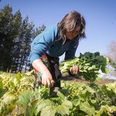 CCOO pide mejoras en condiciones laborales para 24500 trabajadoras del campo en la regin