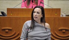 Extremadura pide convocatoria pleno monogrfico por escasez mdicos en Atencin Primaria