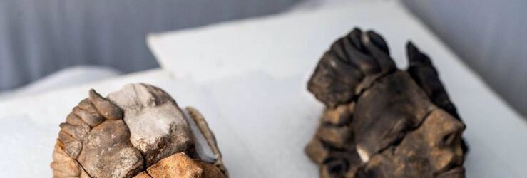 El yacimiento del Turuñuelo revela las primeras representaciones humanas de Tarteso