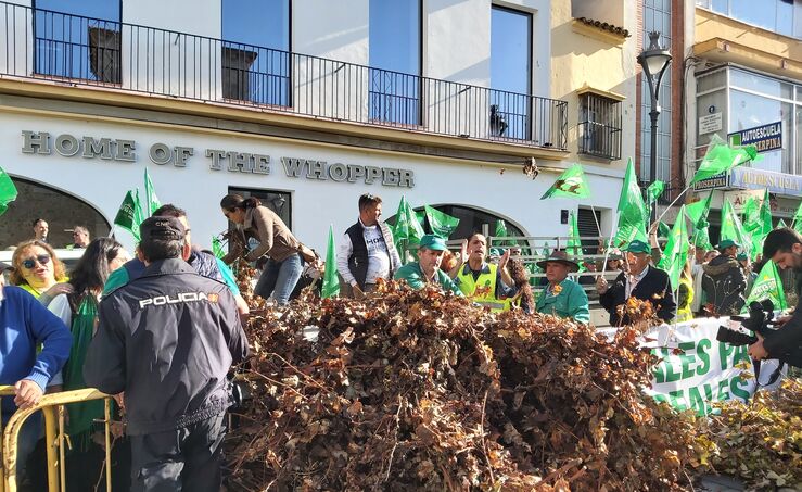 Agricultores depositan restos de poda junto a Presidencia en Mrida como protesta