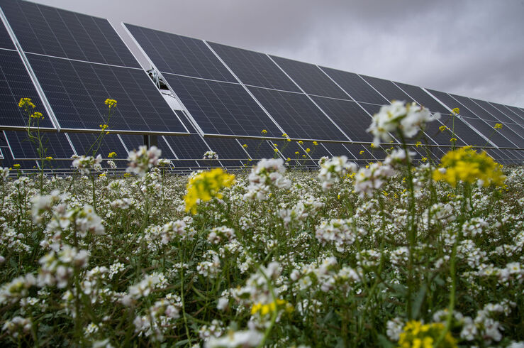 FRV desarrolla 3 plantas fotovoltaicas 150 MW en Mrida para abastecer 108000 hogares