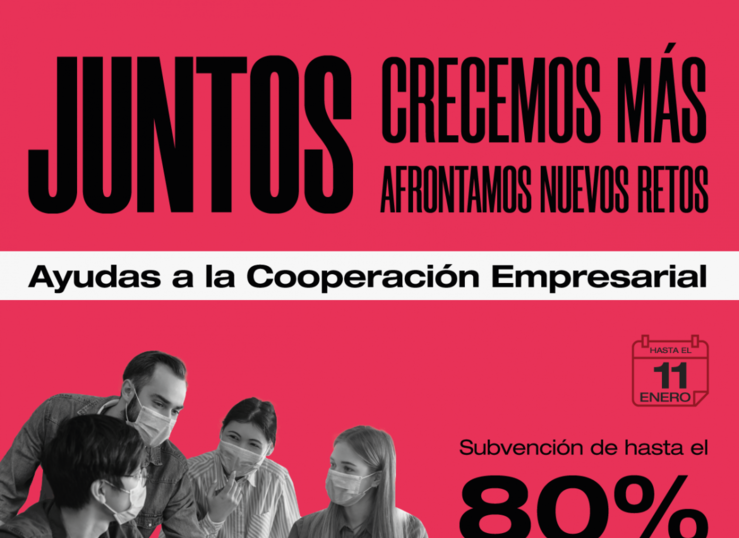 Subvenciones hasta el 80 de proyectos de cooperacin entre empresas de Extremadura