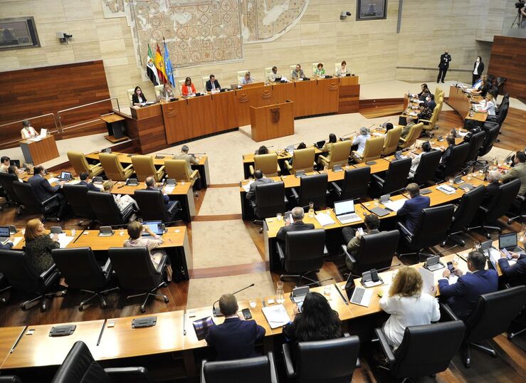 Los grupos parlamentarios en la Asamblea presentan 1352 enmiendas a las cuentas para 2023