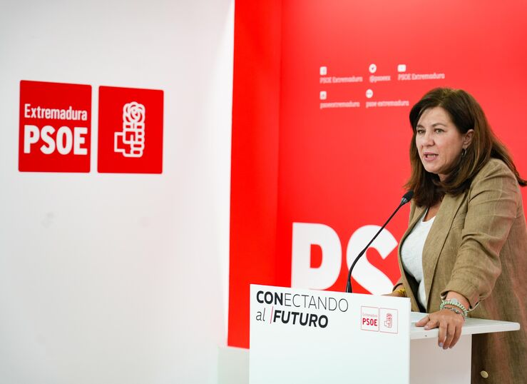 PSOE afirma que recurrir la Ley de Amnista slo servira para generar ms divisin