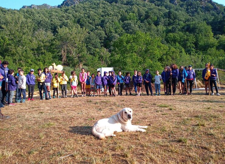 Ms de 1000 nios jvenes y voluntarios participan en campamentos de verano de Scouts
