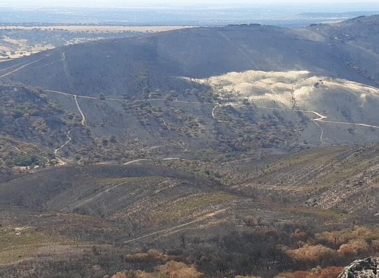 Extremadura contratar trabajos mejora terrenos agroforestales y prevencin incendios