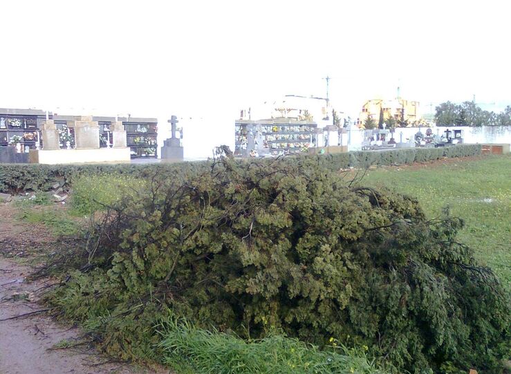 Ayuntamiento de Badajoz incorpora nuevos puntos mviles de residuos verdes