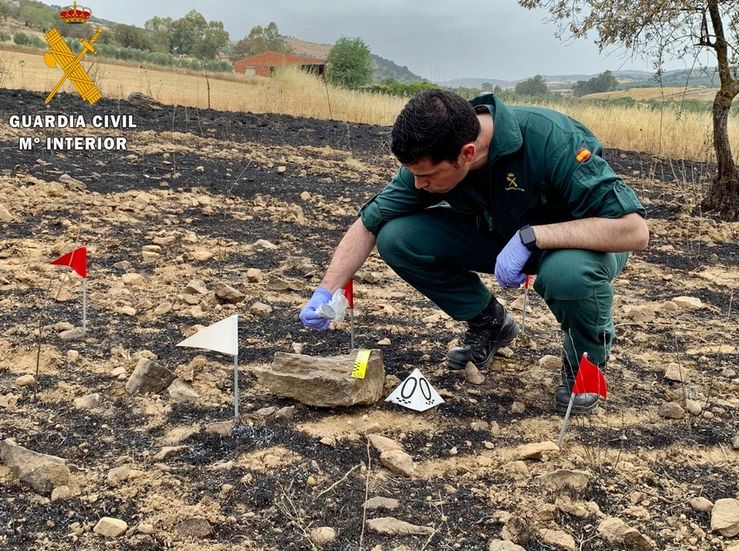 Detenidas e investigadas 38 personas por implicacin en incendios forestales Extremadura