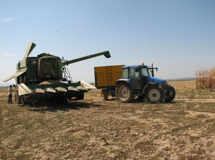 APAG Extremadura Asaja preocupada por posible falta mano de obra para prximas cosechas