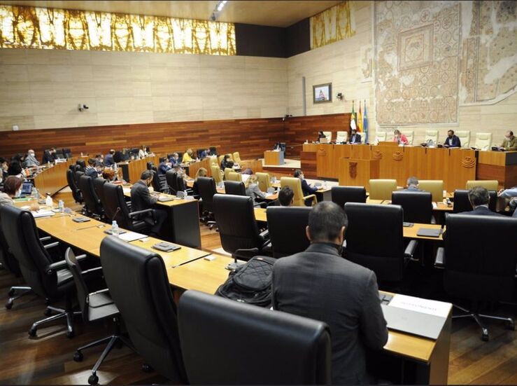 Futura ley contra la despoblacin los fondos de cohesin y Fundesalud en pleno Asamblea