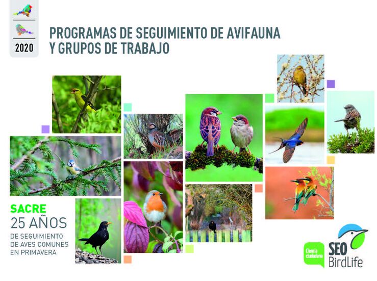Ms de 40 especies de aves sufren situacin desfavorable en Espaa segn SEOBirdLife