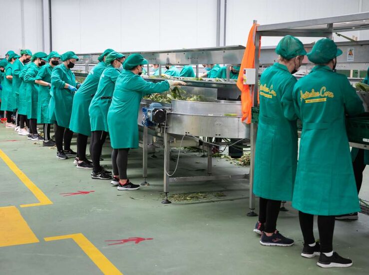 La produccin industrial registr en noviembre una cada del 43 en Extremadura