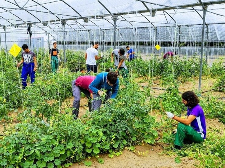Ministerio de Agricultura ampla plazo solicitud de ayudas para Cultiva 2022 hasta 30 mayo