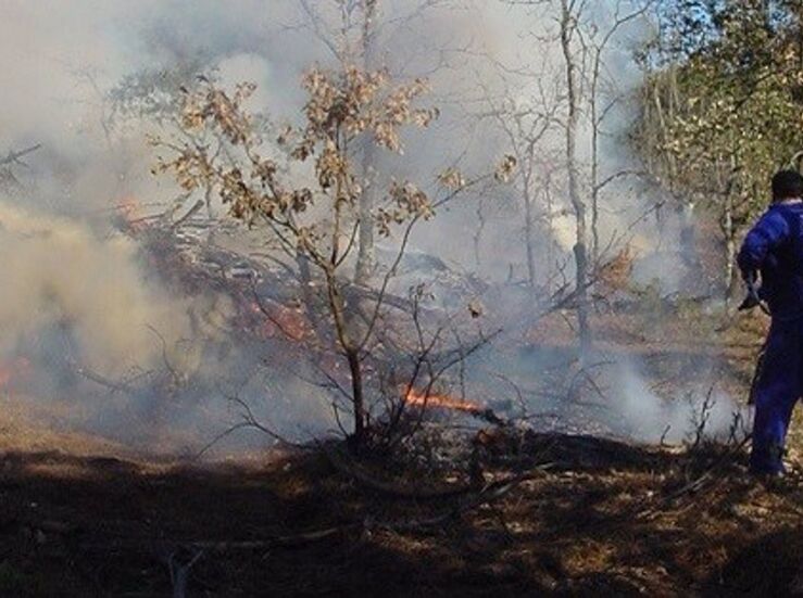 La prohibicin de quema de restos de poda en Extremadura entra en vigor este mircoles