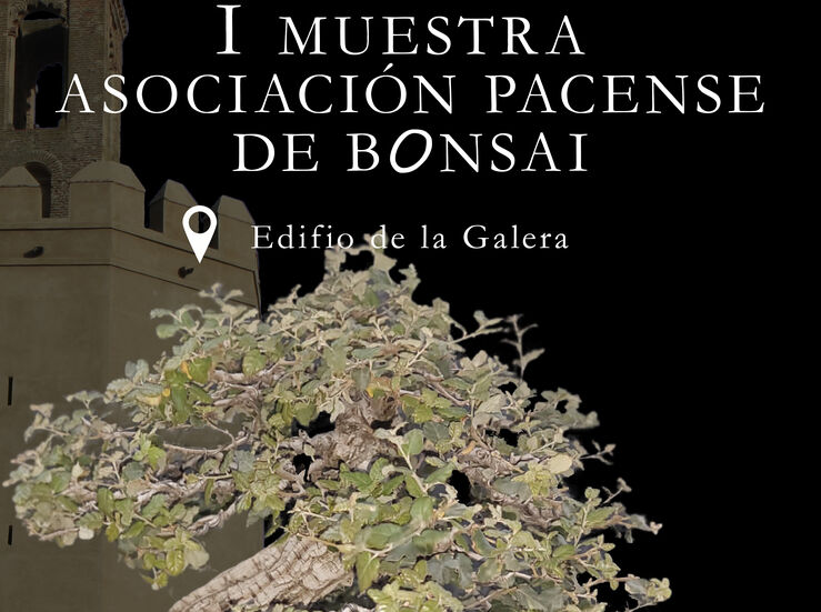 Una treintena de bonsis formarn parte de una exposicin en Badajoz