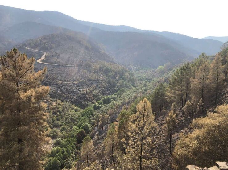 Vecinos de Torre de don Miguel ya pueden volver a casas tras el incendio en Sierra de Gata