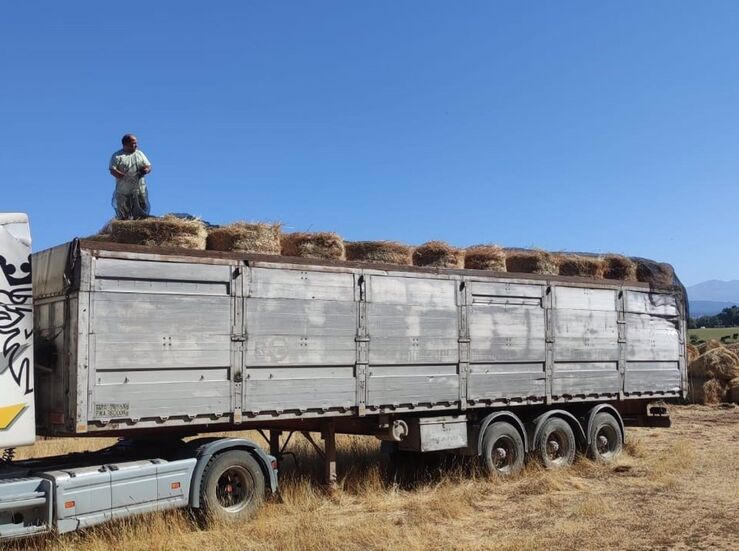 Diputacin Cceres entrega heno a ganaderos afectados por incendio en Casas de Miravete