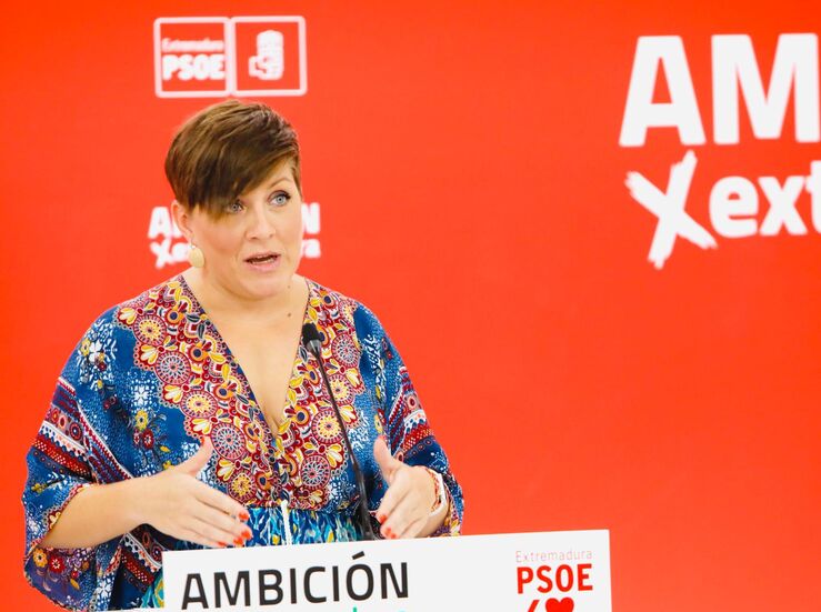 PSOE ve buena noticia renuncia de promotora de mina de litio al proyecto a cielo abierto