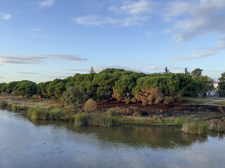 El Ayuntamiento de Mrida licita el proyecto de automatizacin del riego en varios parques