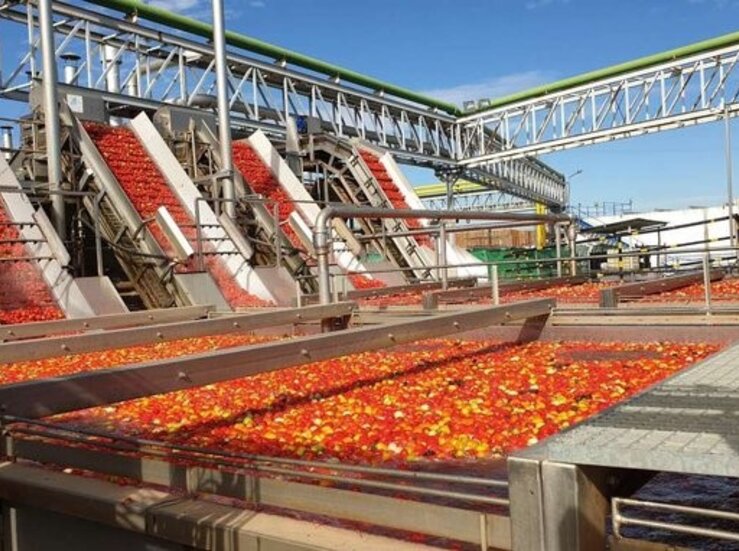 La Junta abona 24 millones de anticipo de ayuda al cultivo de tomate para transformacin