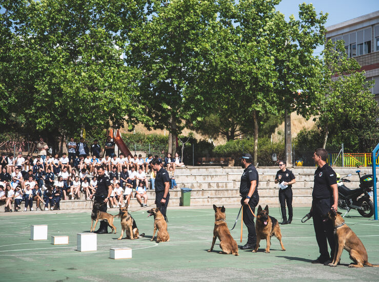 La Unidad Canina de la Polica Local de Mrida realiza una exhibicin en las Josefinas