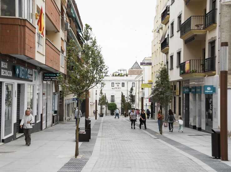 Licitado contrato proyecto de acceso a calles con plataforma nica en Mrida por 23 M