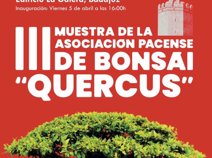 III Muestra de la Asociacin Pacense de Bonsi Quercus en Badajoz