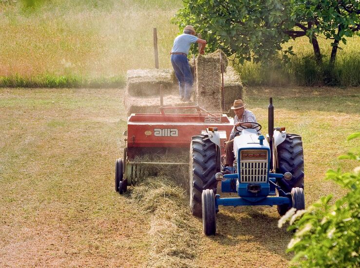 La Junta apuesta por el crecimiento en Extremadura a travs de la creacin de cooperativas