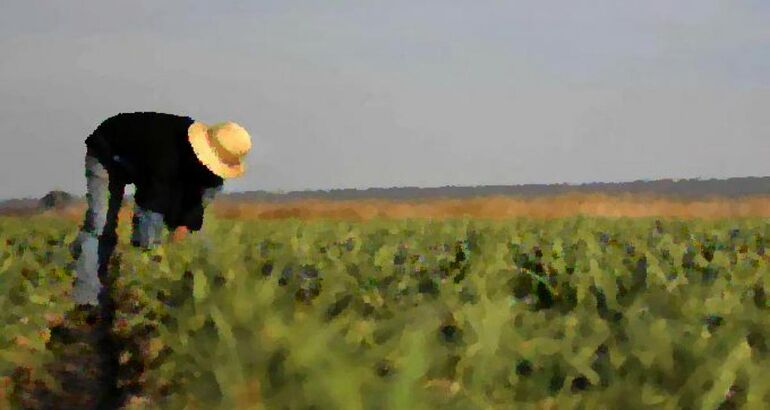 Agricultores y ganaderos españoles y lusos defienden retribución por bajar huella carbono