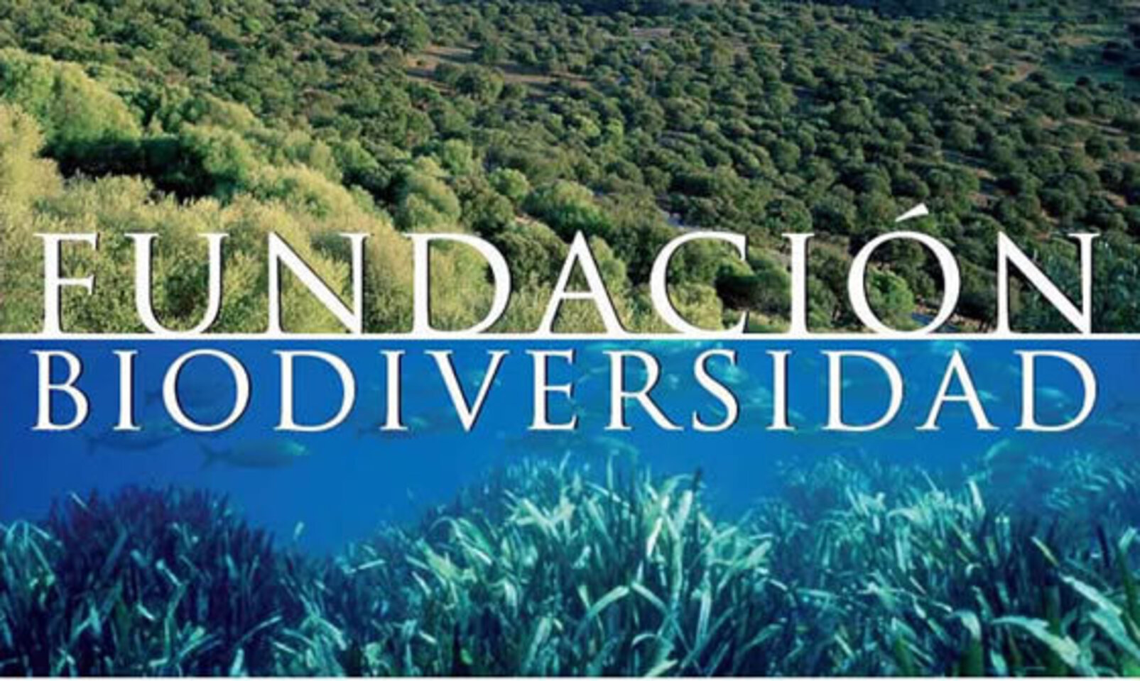 Proyecto Sobre Cambio Climático Recibirá Ayuda Fundación Biodiversidad